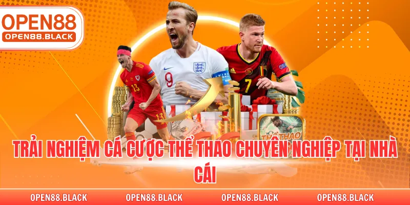 Trải nghiệm cá cược thể thao chuyên nghiệp tại nhà cái